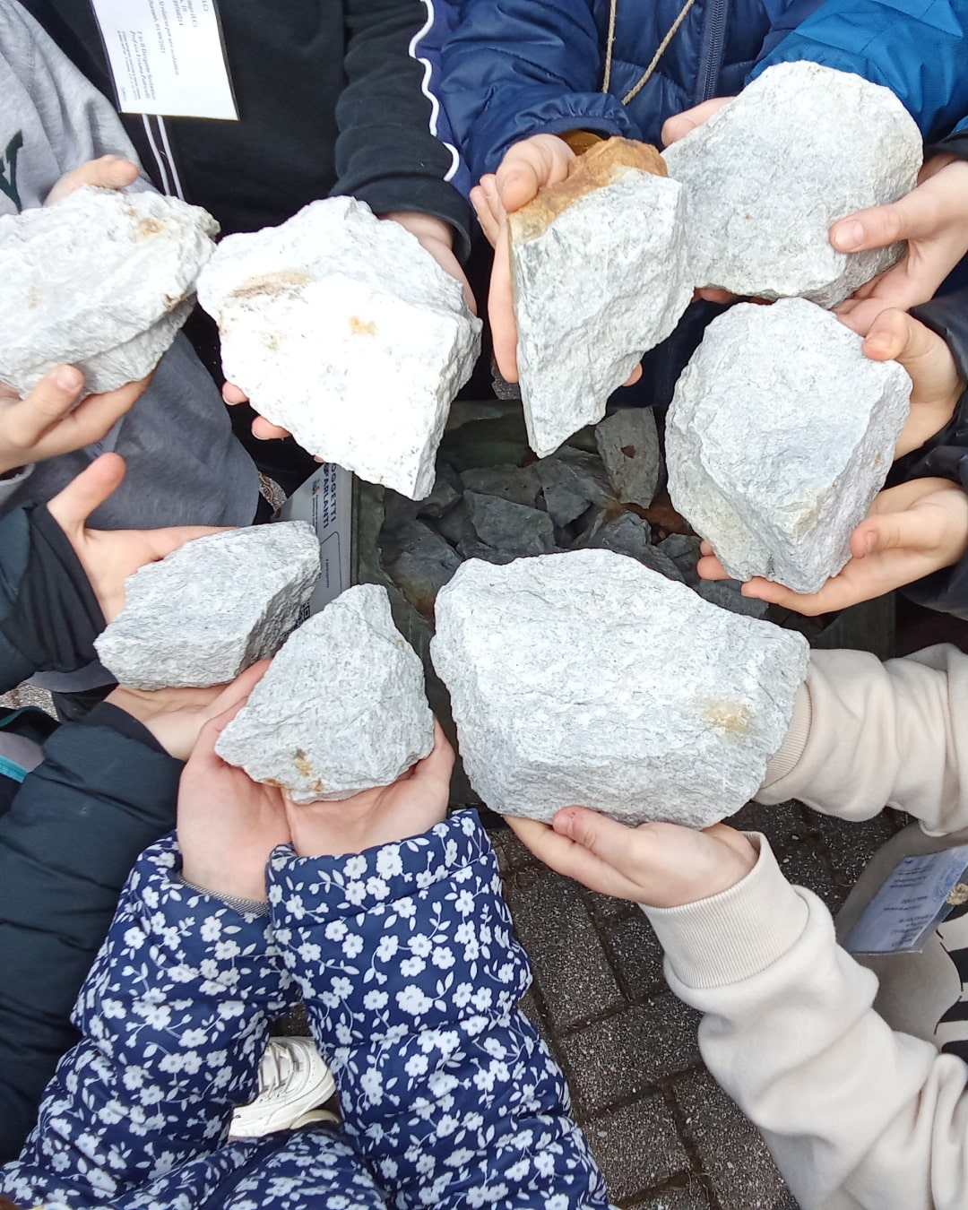 piccoli-passi-per-grandi-scoperte-03