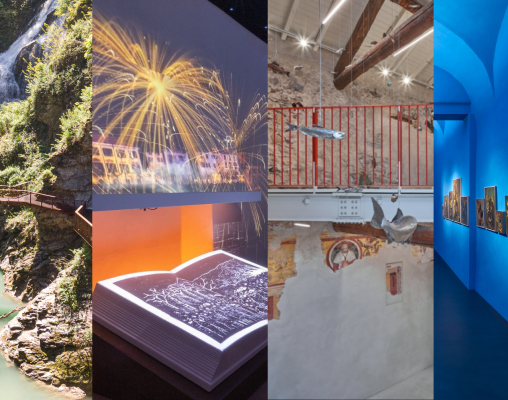 Box-sito-Discovering-15-x-8.5-cm