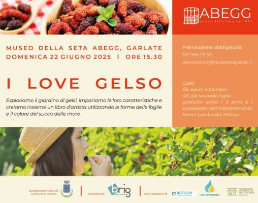 gelso-1024×780-1 gelso-1024x780-1