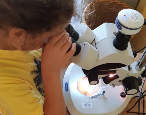 scienziati-per-un-giorno